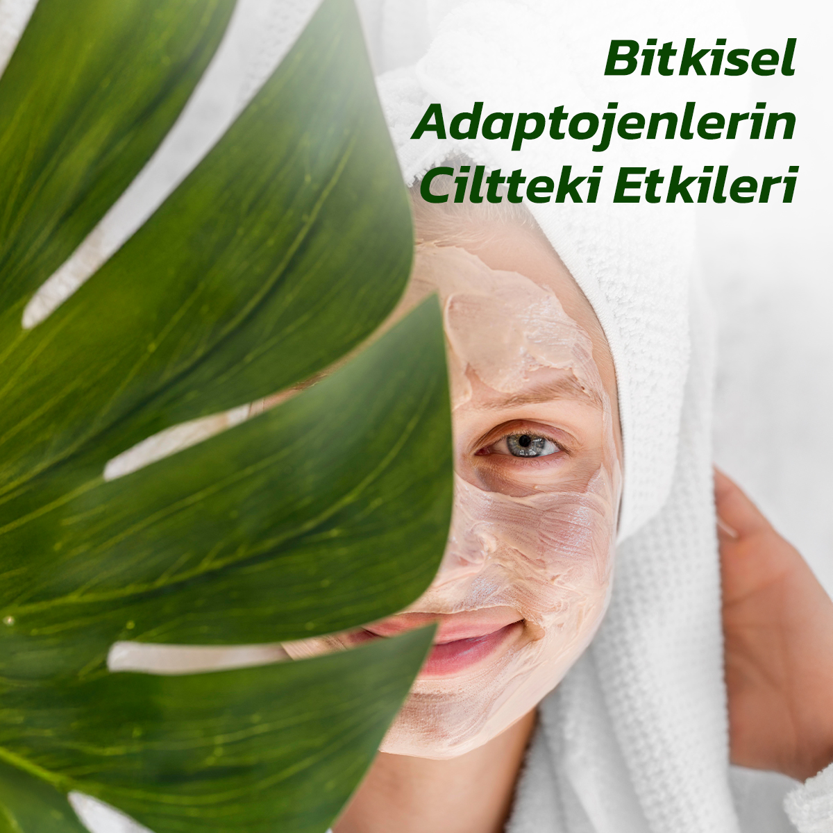 Bitkisel Adaptogenlerin Cilt Üzerindeki Etkileri: Ashwagandha, Holy Basil ve Diğerleri